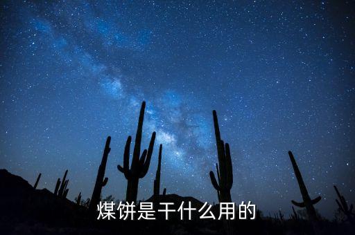 煤饼，煤饼是干什么用的