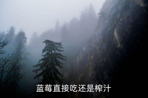 蓝莓直接吃还是榨汁
