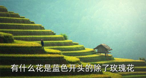 有什么花是蓝色开头的除了玫瑰花