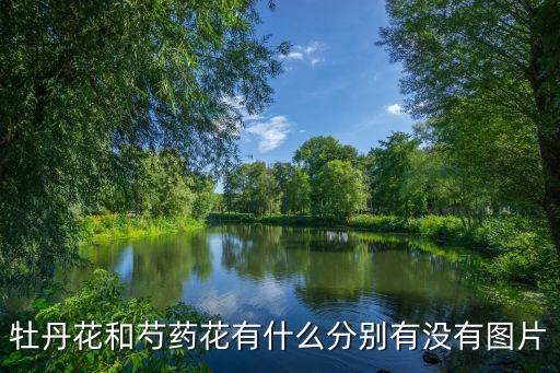 牡丹花和芍药花有什么分别有没有图片