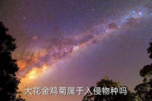 大花金鸡菊，大花金鸡菊的花语