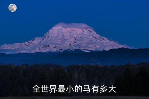 全世界最小的马有多大
