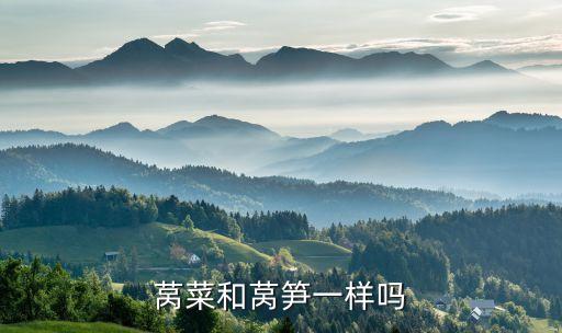 莴菜和莴笋一样吗