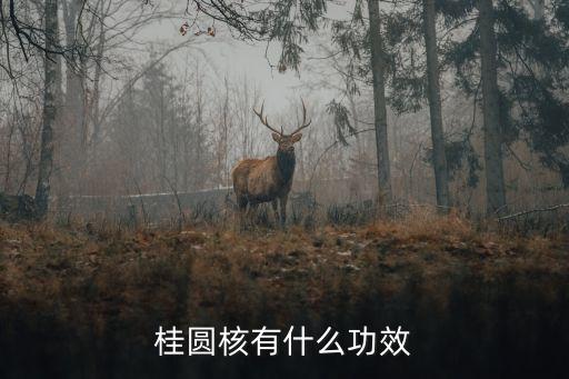 桂圆核，桂圆核是指桂圆外面的外壳还是指桂圆肉里面的子