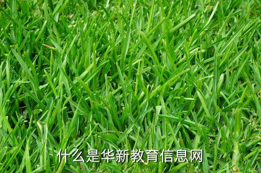 什么是华新教育信息网