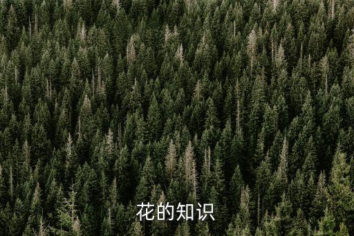 花卉知识，花的知识