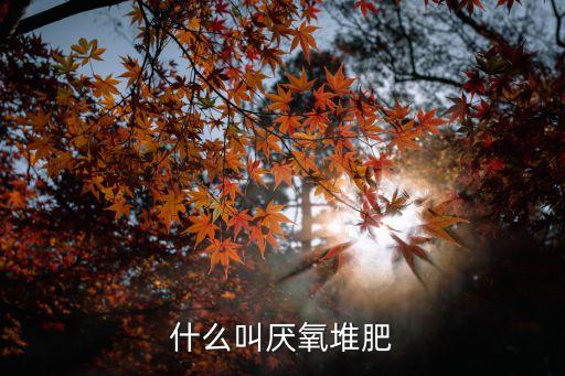 什么叫厌氧堆肥
