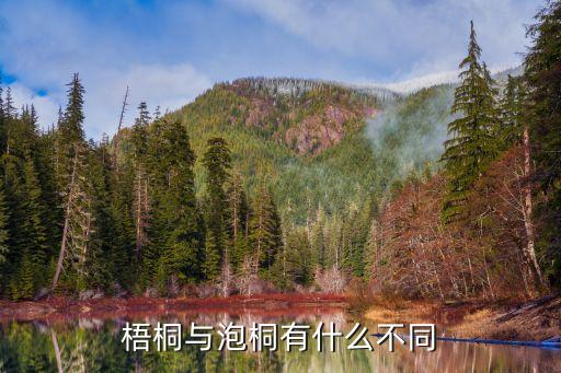 梧桐与泡桐有什么不同