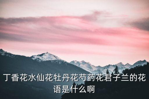 丁香花水仙花牡丹花芍药花君子兰的花语是什么啊
