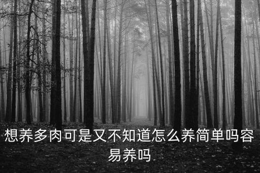 想养多肉可是又不知道怎么养简单吗容易养吗