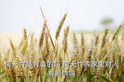 南天竹有毒吗，南天竹有毒吗