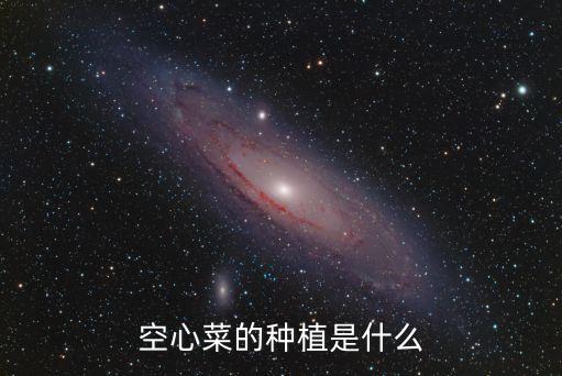 空心菜的种植是什么