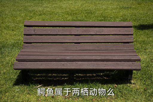 鳄鱼属于两栖动物么