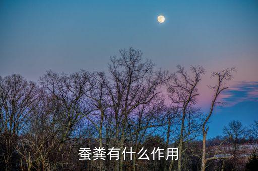 蚕粪有什么作用