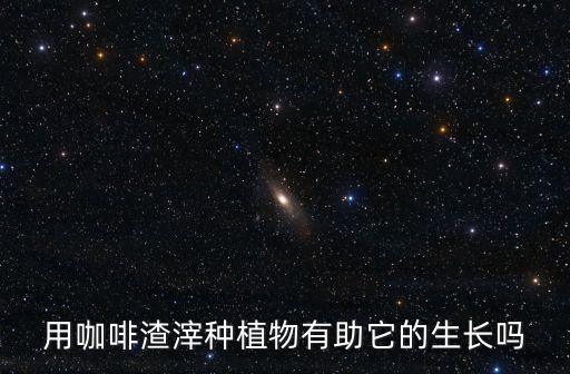 用咖啡渣滓种植物有助它的生长吗