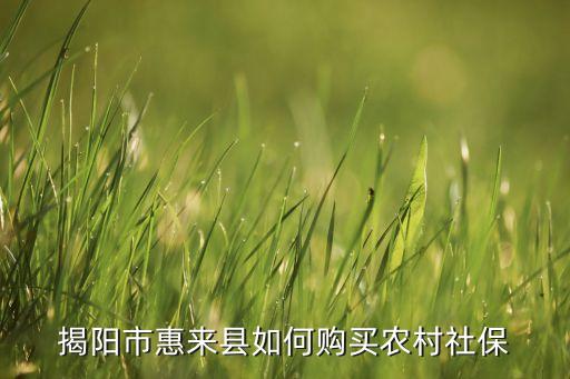 广东怎么交农业保险公积金，广东省新会社保怎么交