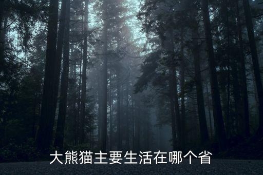大熊猫主要生活在哪个省
