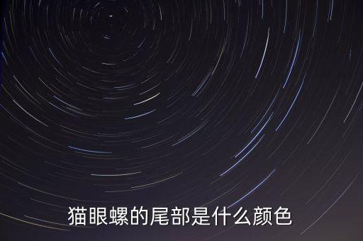 猫眼螺的尾部是什么颜色