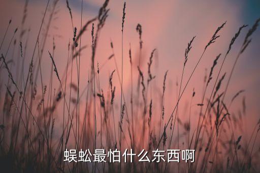 蜈蚣最怕什么东西啊