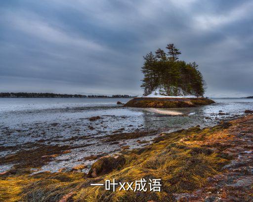 一什么叶子，一什么叶子填量词两个