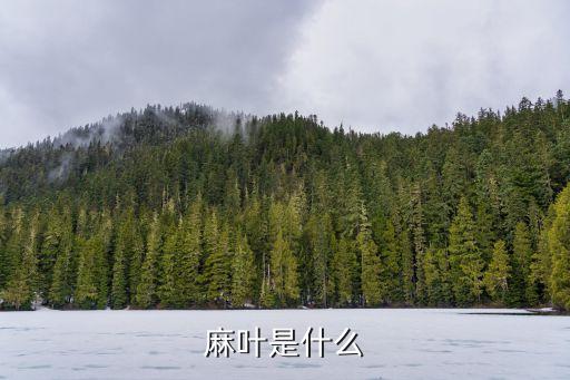 麻叶是什么