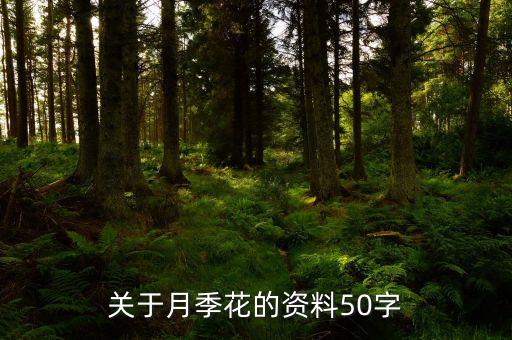 月季花的资料，月季花