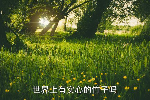 世界上有实心的竹子吗