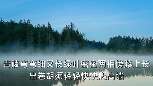 青藤弯弯细又长绿叶密密两相傍藤上长出卷胡须轻轻快快爬高墙
