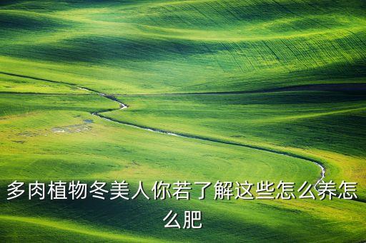 冬美人，冬美人的生长习性