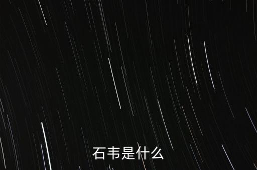 石韦是什么