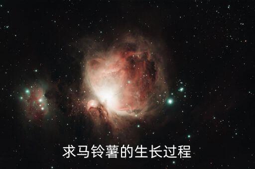 求马铃薯的生长过程