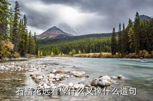 石榴花远看像什么又像什么造句