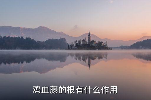 鸡血藤的根有什么作用