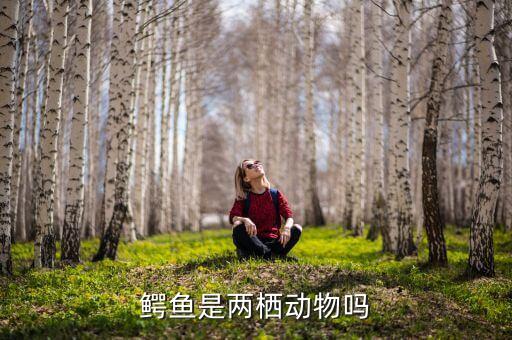 鳄鱼是两栖动物吗