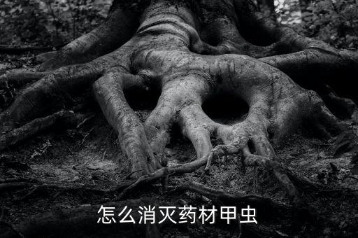 药材甲，求什么甲的药名
