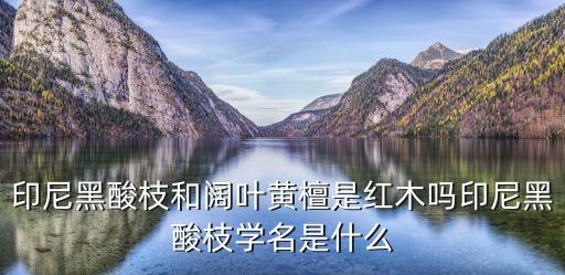 阔叶黄檀，阔叶黄檀是红木吗