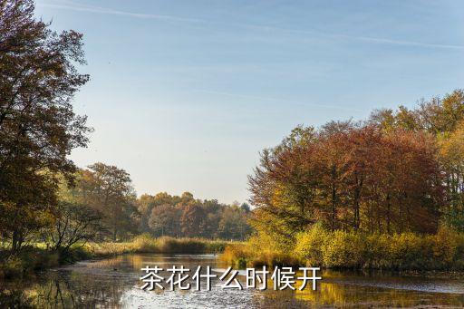 茶花什么时候开