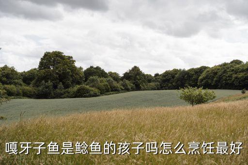 嘎牙子鱼是鲶鱼的孩子吗怎么烹饪最好