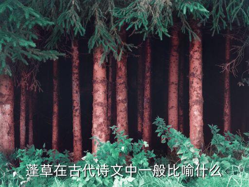 蓬草在古代诗文中一般比喻什么