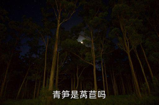 青笋是莴苣吗