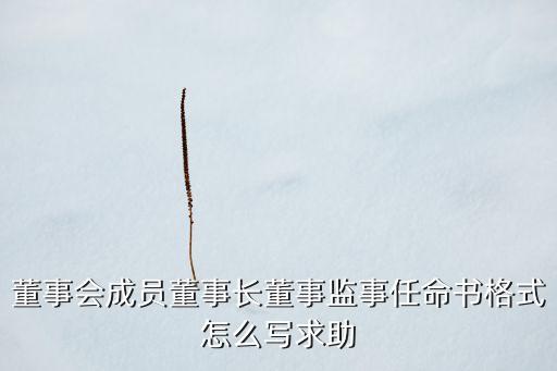 农业公司任命文件怎么写，董事会成员董事长董事监事任命书格式怎么写求助
