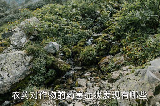 农药对作物的药害症状表现有哪些