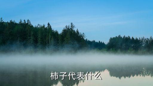 柿子的寓意，柿子代表什么