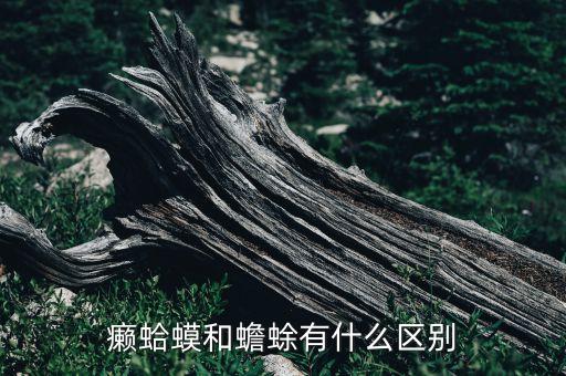 癞蛤蟆和蟾蜍有什么区别