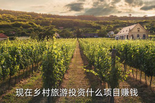 农业旅游怎么赚钱，现在农业怎么去做能挣钱