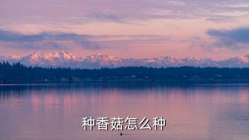 香菇种植，种香菇怎么种