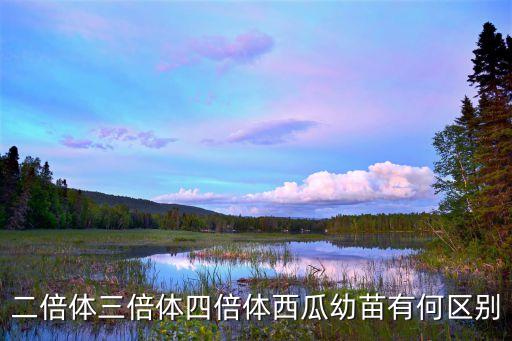 西瓜幼苗，西瓜幼苗怎样护理长势快