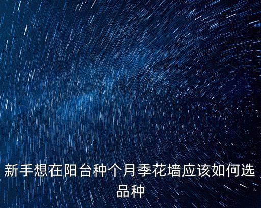 新手想在阳台种个月季花墙应该如何选品种