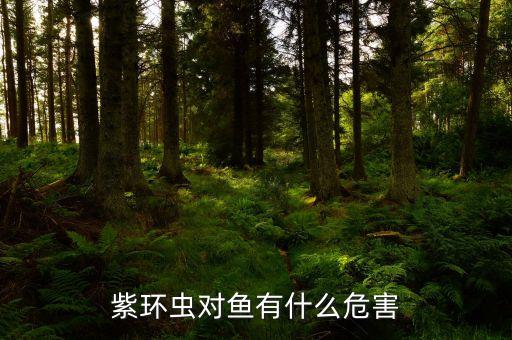 紫环虫对鱼有什么危害