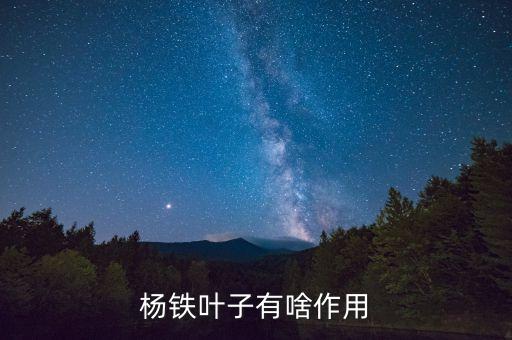 杨铁叶子有啥作用
